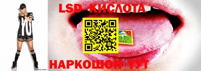 apvp Пенза