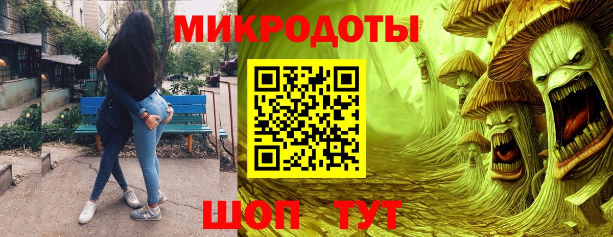 Псилоцибиновые грибы Psilocybe Спасск-Дальний