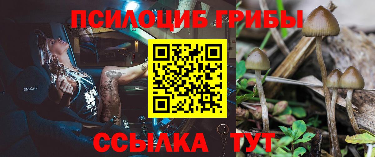 Спасск-Дальний  Галлюциногенные грибы ЛСД  Галлюциногенные грибы ЛСД  Вход с VPN 