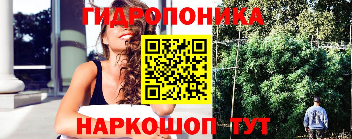 Конопля ГИДРОПОН  Конопля индика  Шишки марихуана план  Вход с VPN  Спасск-Дальний  Каннабис Amnesia 